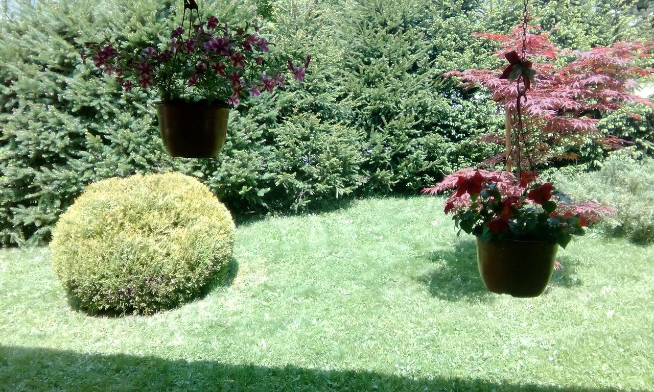Apartmani Nais Zlatibor Exterior foto